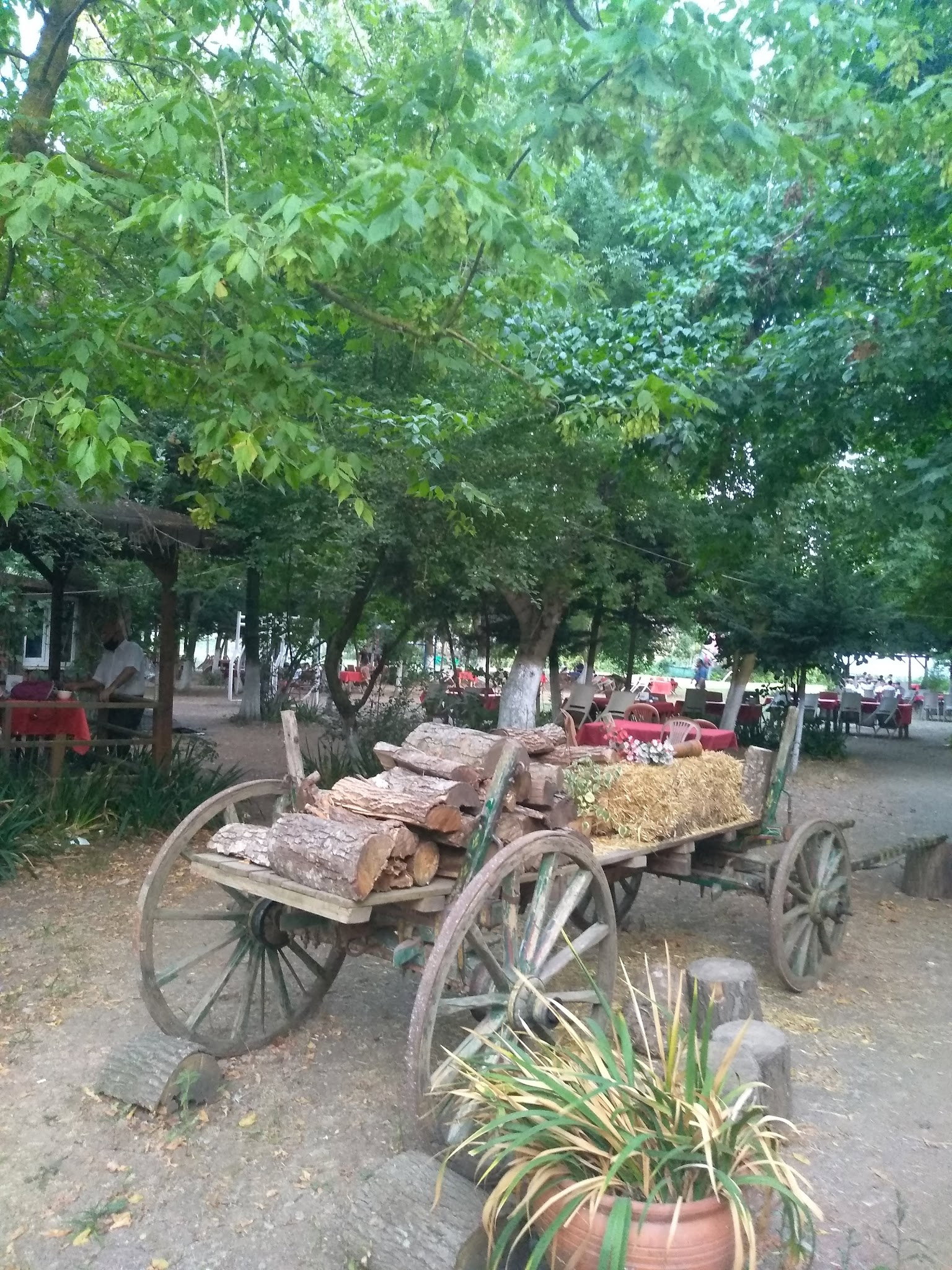 Yeşil Çiftlik Restoran