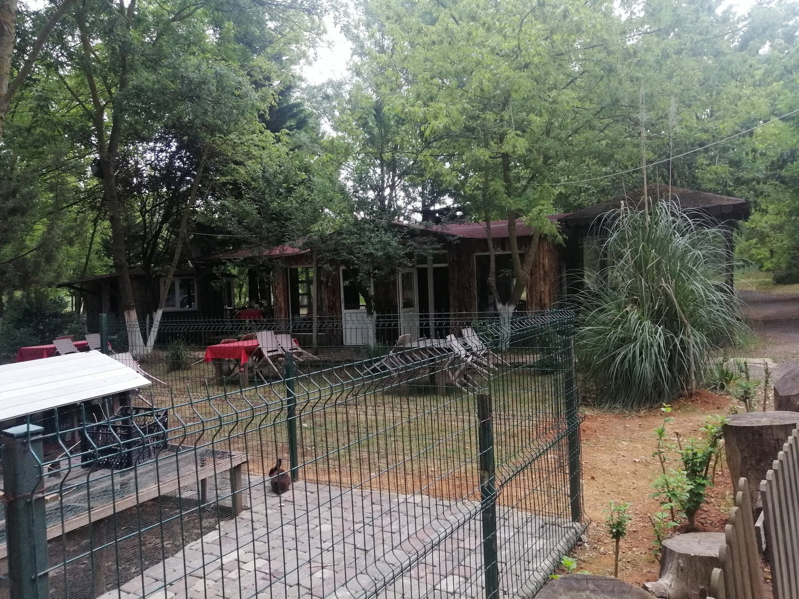 Yeşil Çiftlik Restoran