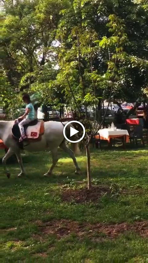 Yeşil Çiftlik Restoran