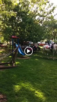 Yeşil Çiftlik Restoran resimleri