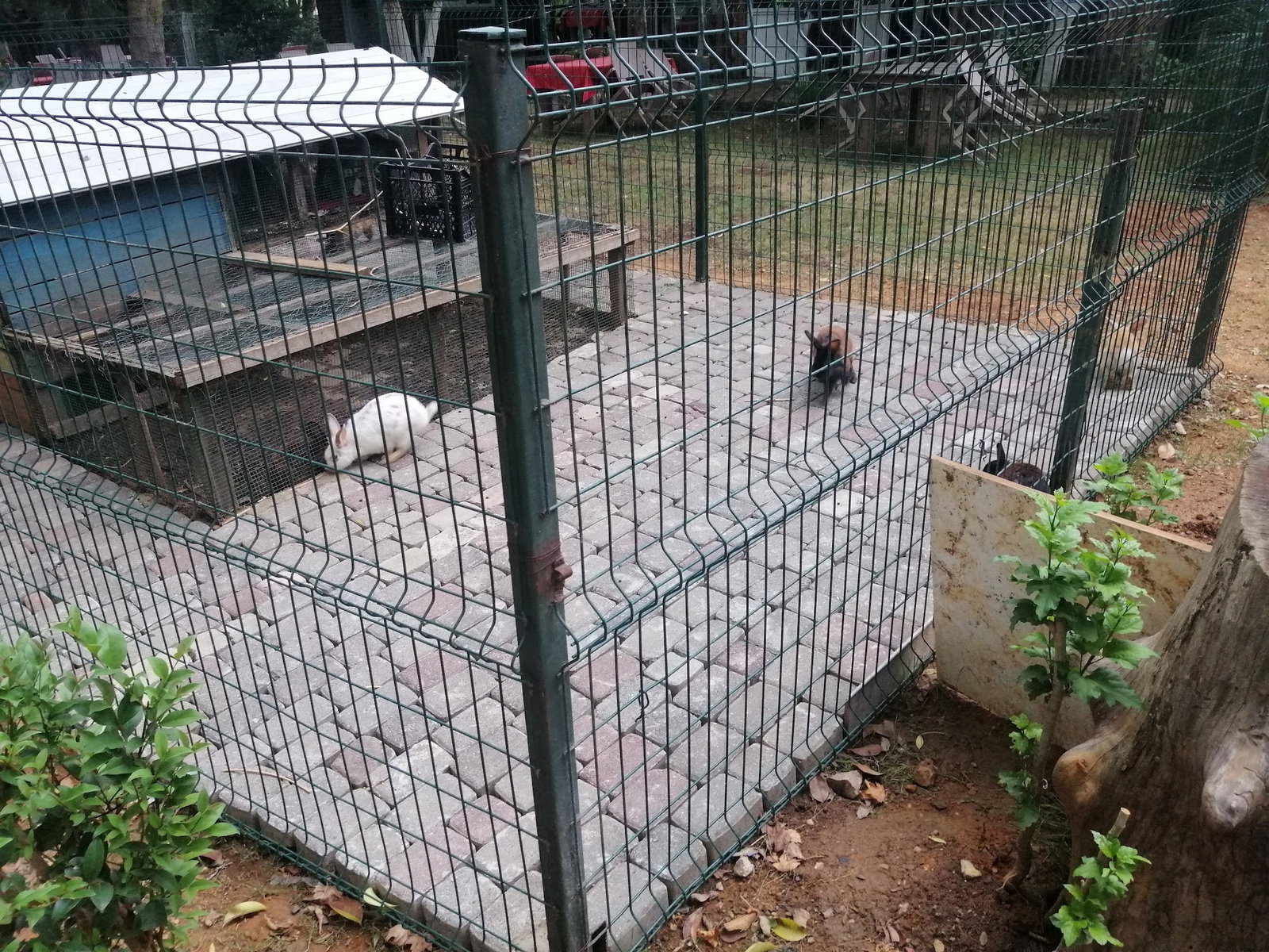 Yeşil Çiftlik Restoran