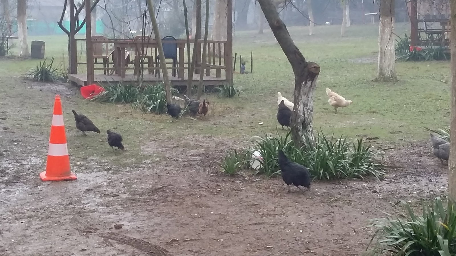 Yeşil Çiftlik Restoran