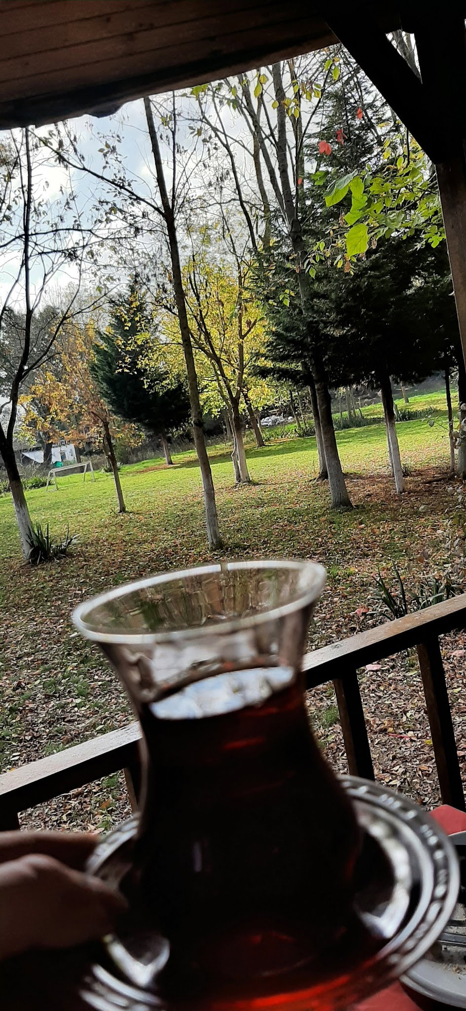 Yeşil Çiftlik Restoran