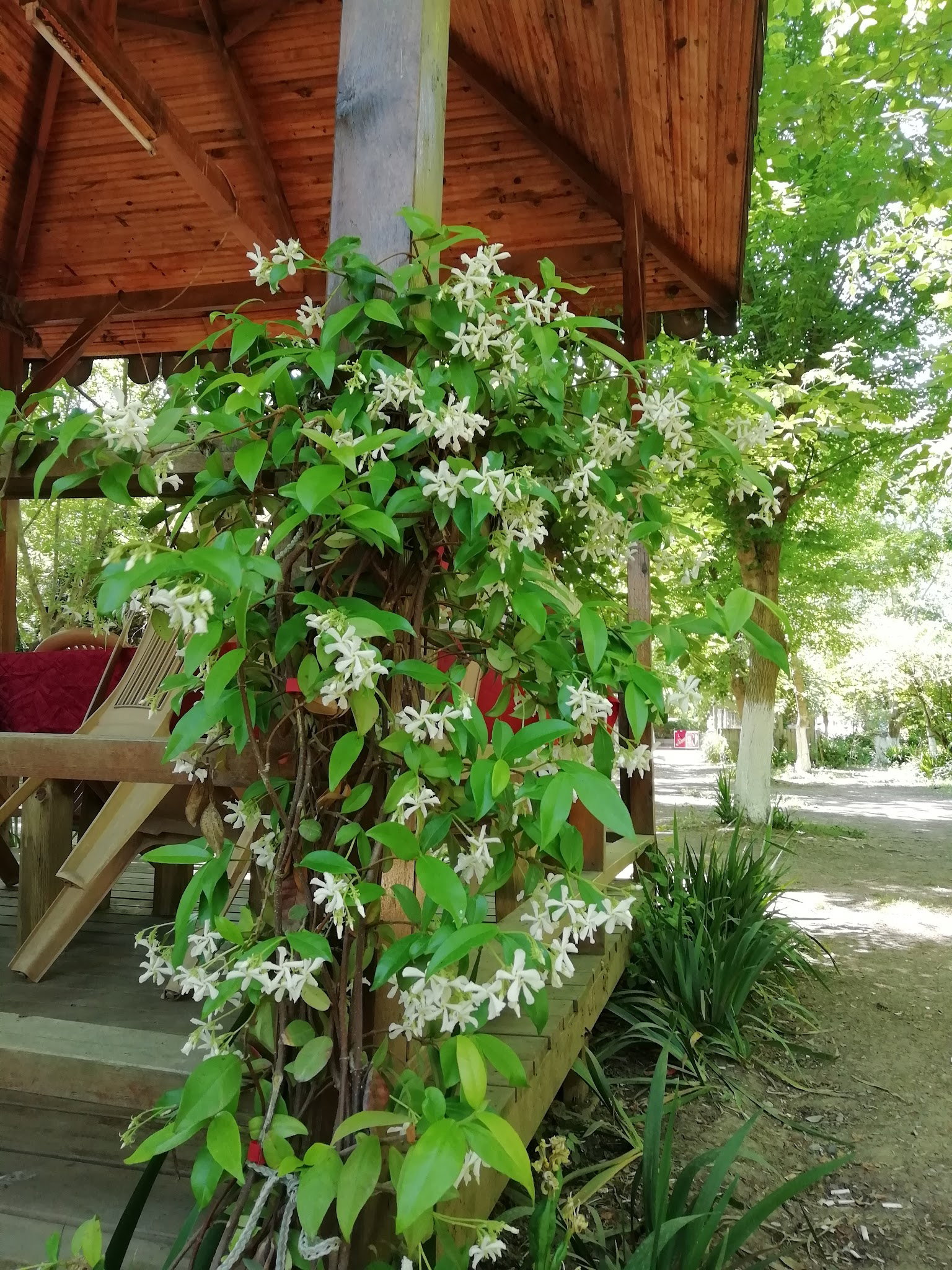 Yeşil Çiftlik Restoran