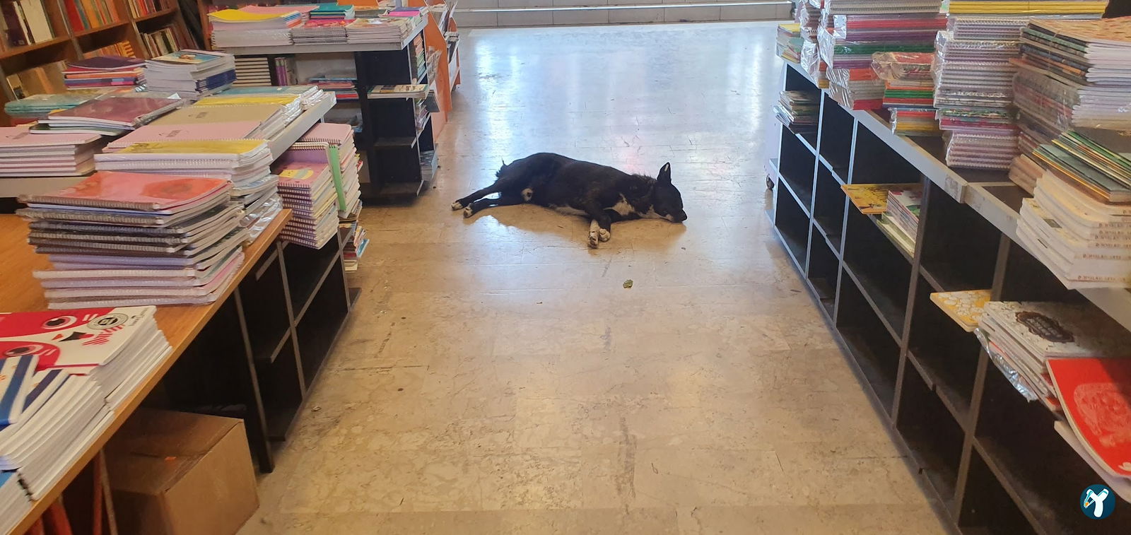 Penguen Kitapevi Kadıköy Şubesi
