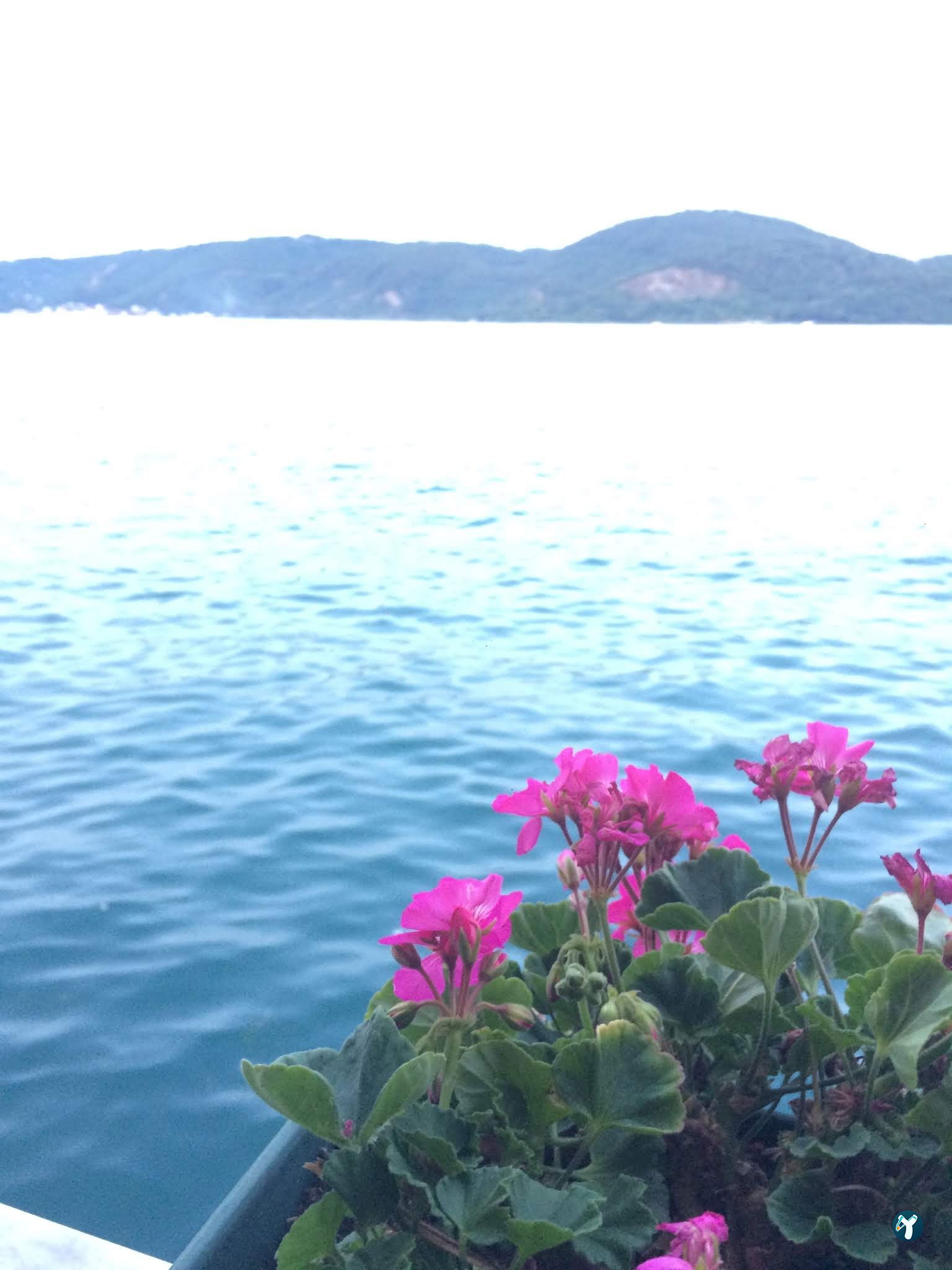 Sarıyer Spor Kulübü Kafeteryası