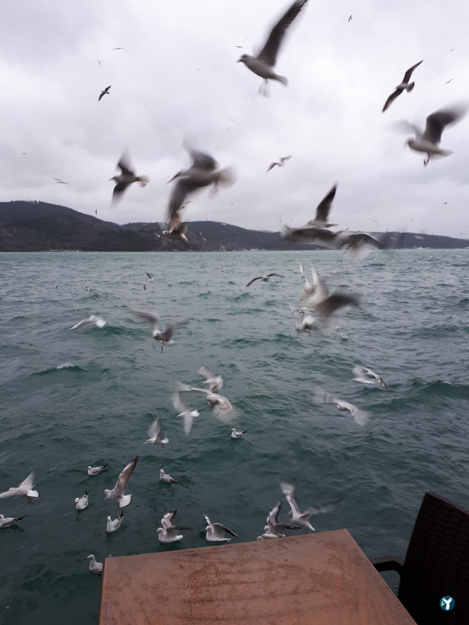Sarıyer Spor Kulübü Kafeteryası