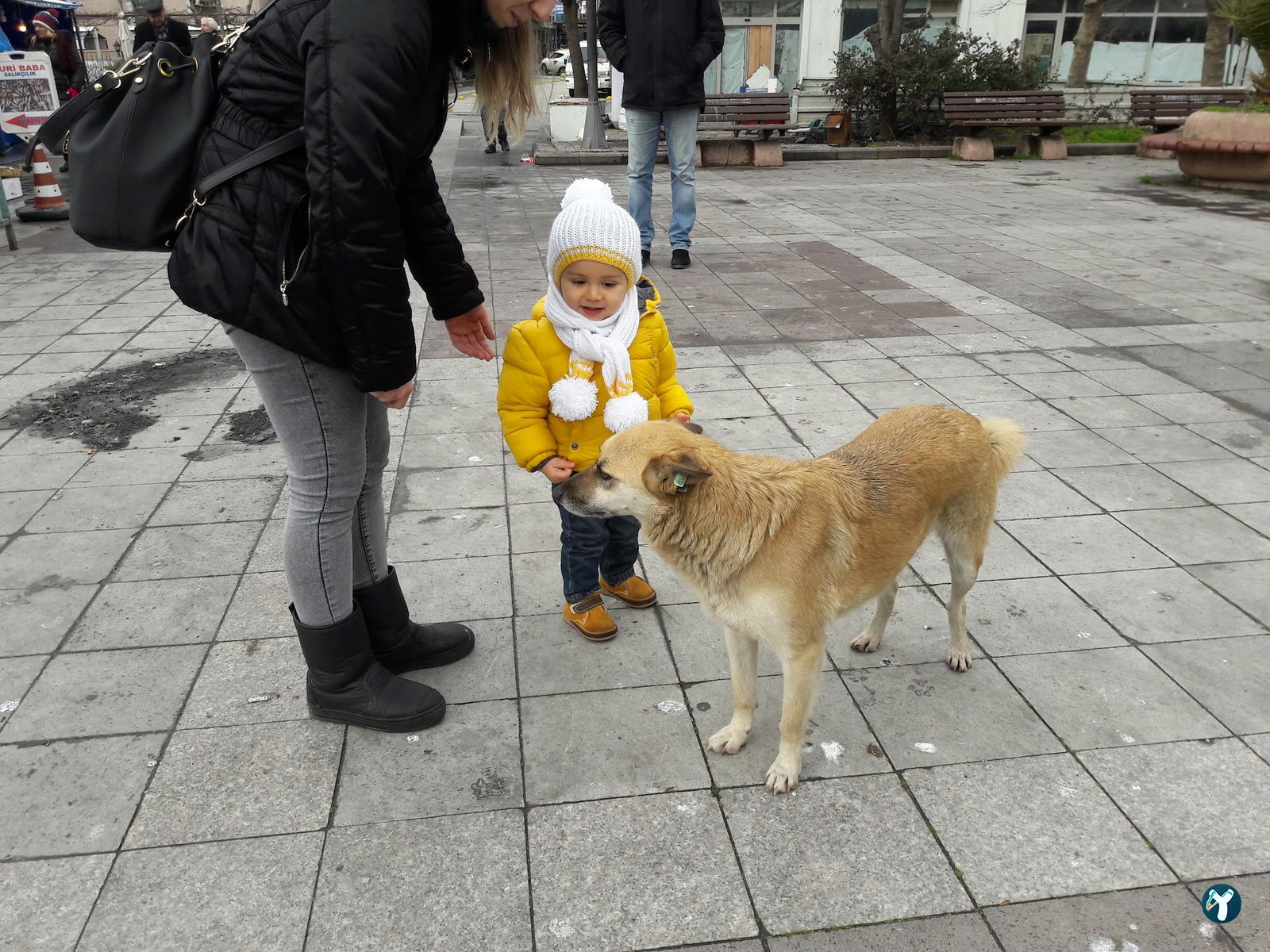 Sarıyer Spor Kulübü Kafeteryası