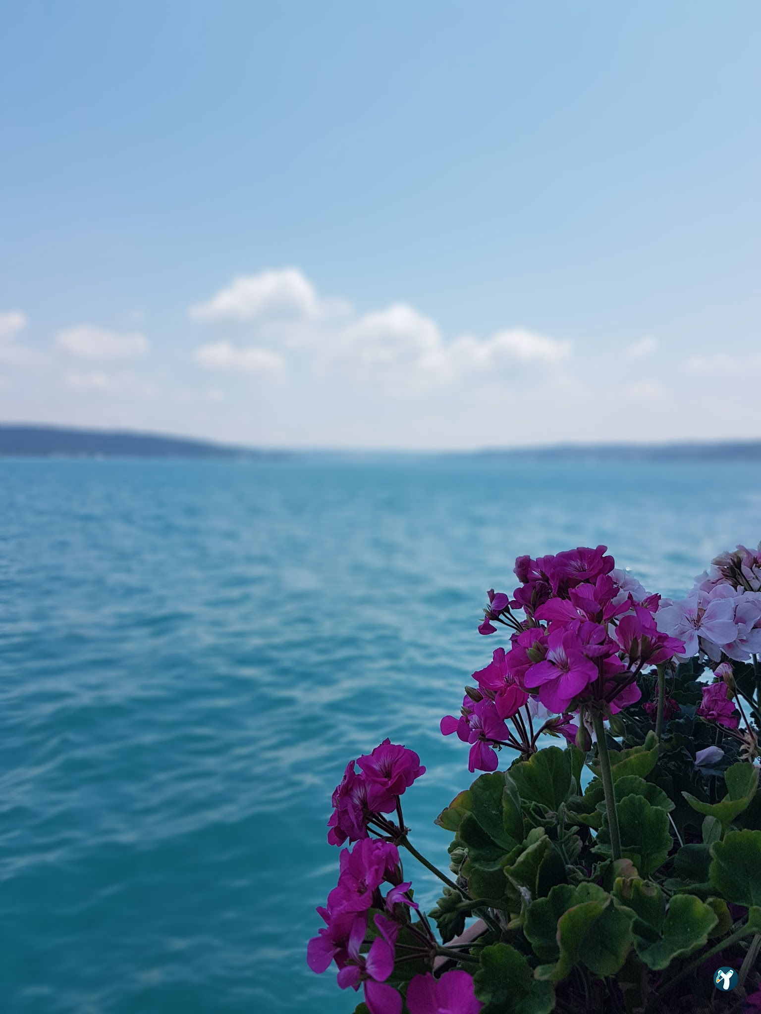 Sarıyer Spor Kulübü Kafeteryası