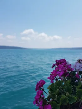 Sarıyer Spor Kulübü Kafeteryası resimleri Sarıyer Spor Kulübü Kafeteryası resimleri