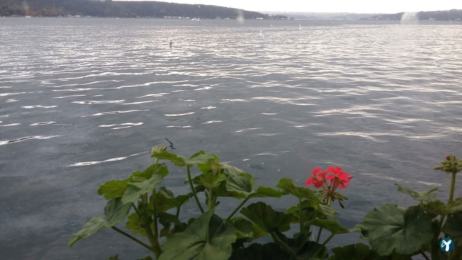Sarıyer Spor Kulübü Kafeteryası
