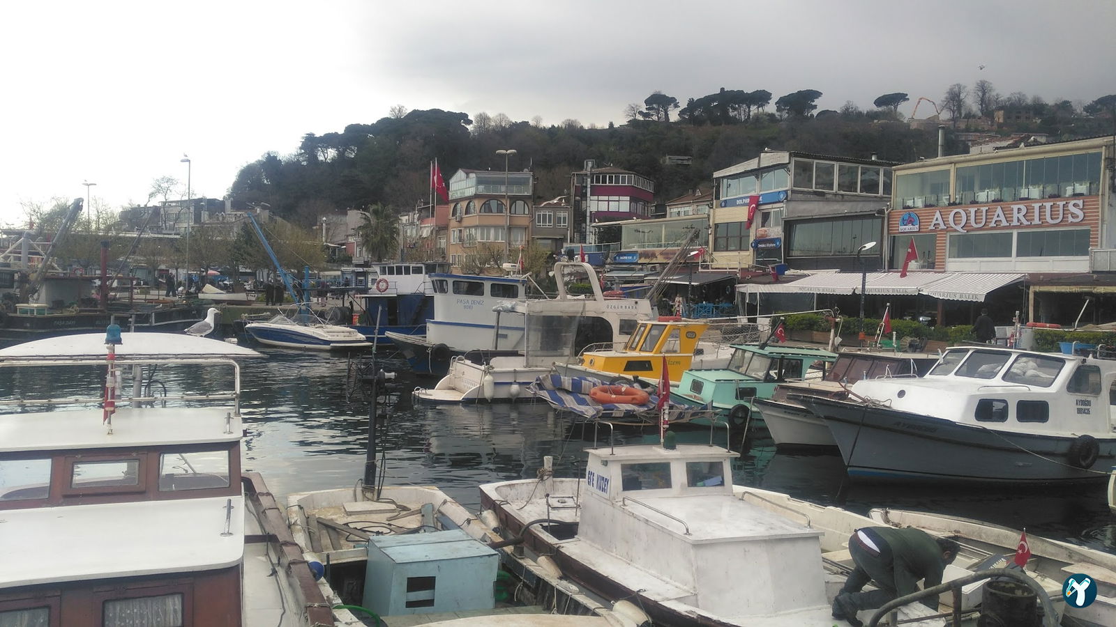 Sarıyer Spor Kulübü Kafeteryası