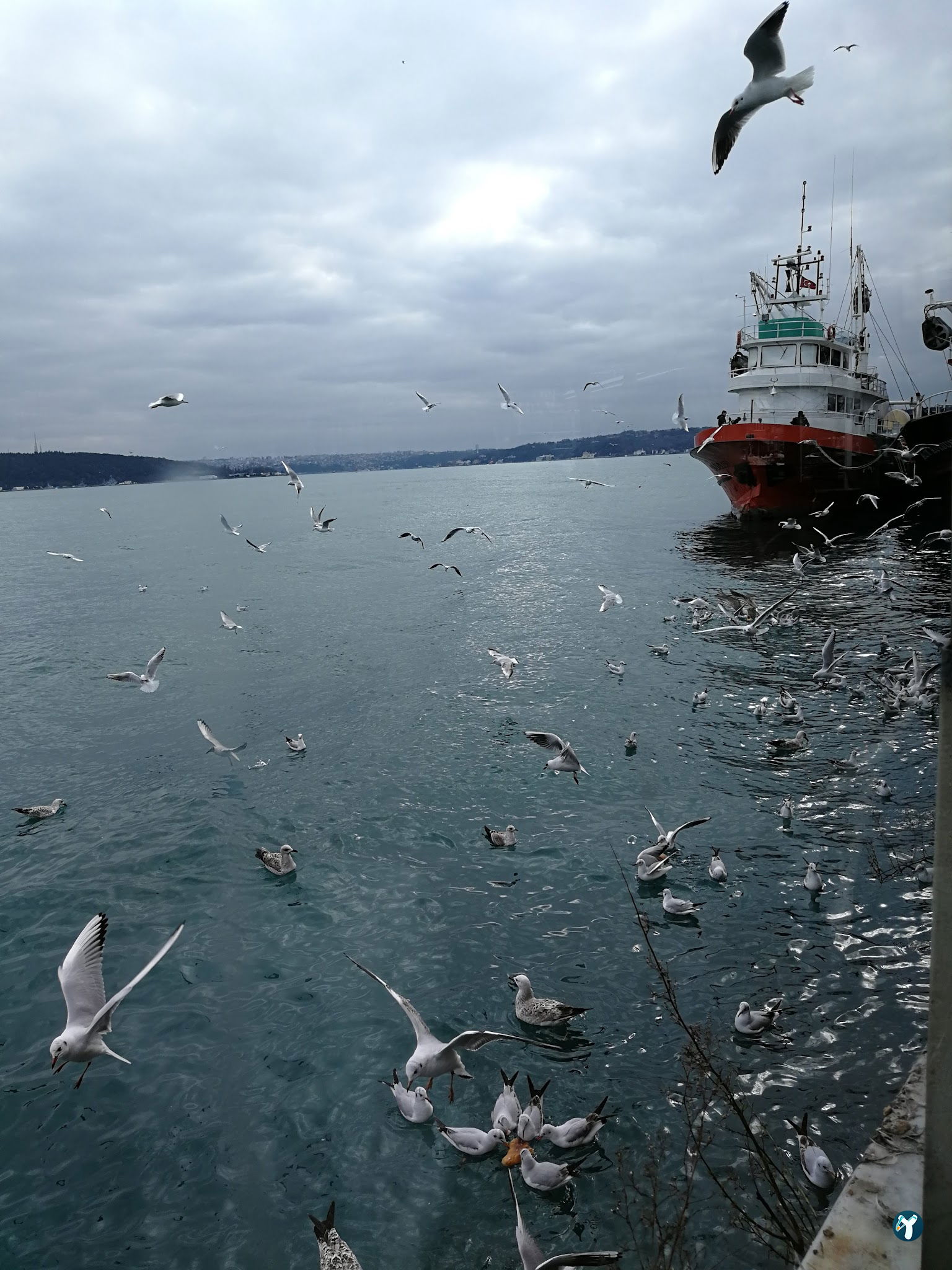 Sarıyer Spor Kulübü Kafeteryası
