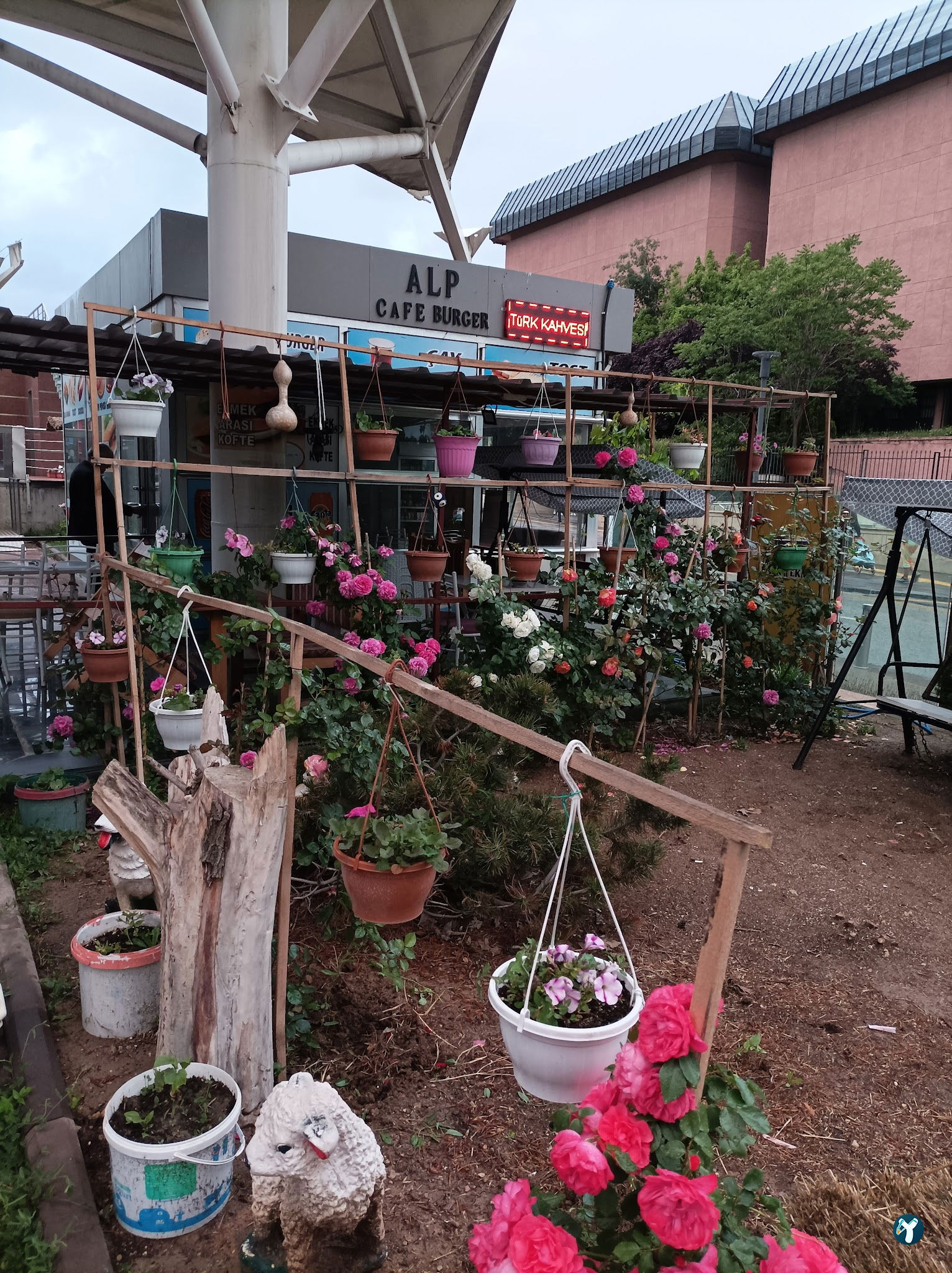 Alp Cafe