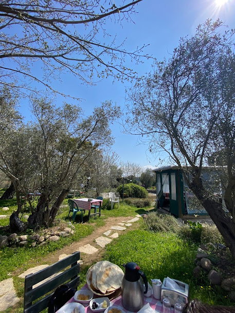 FERONIA KAHVALTI BAHÇESİ