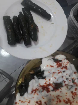 Kandil Restorant resimleri