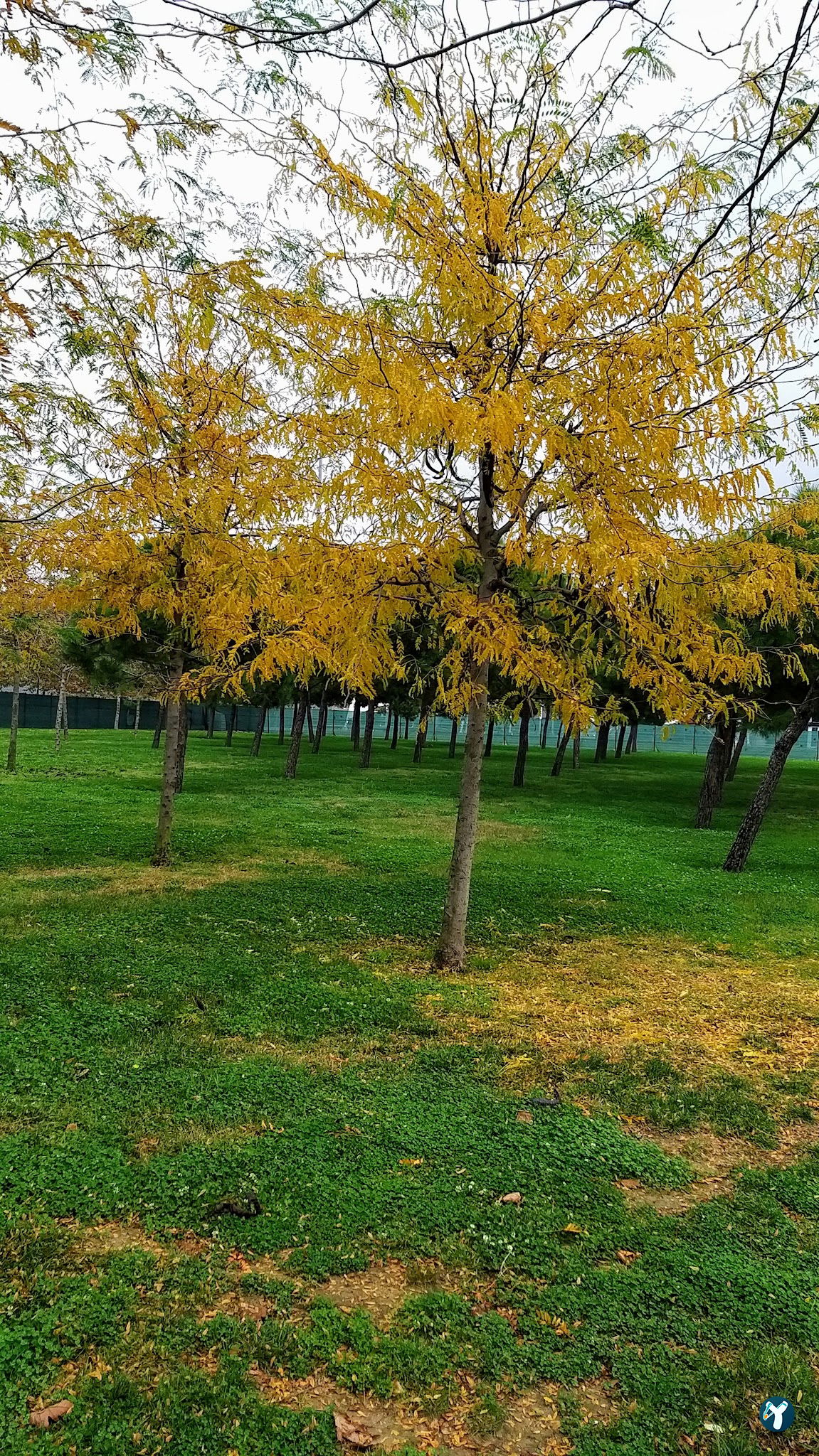 Zeytinburnu Sahil Parkı