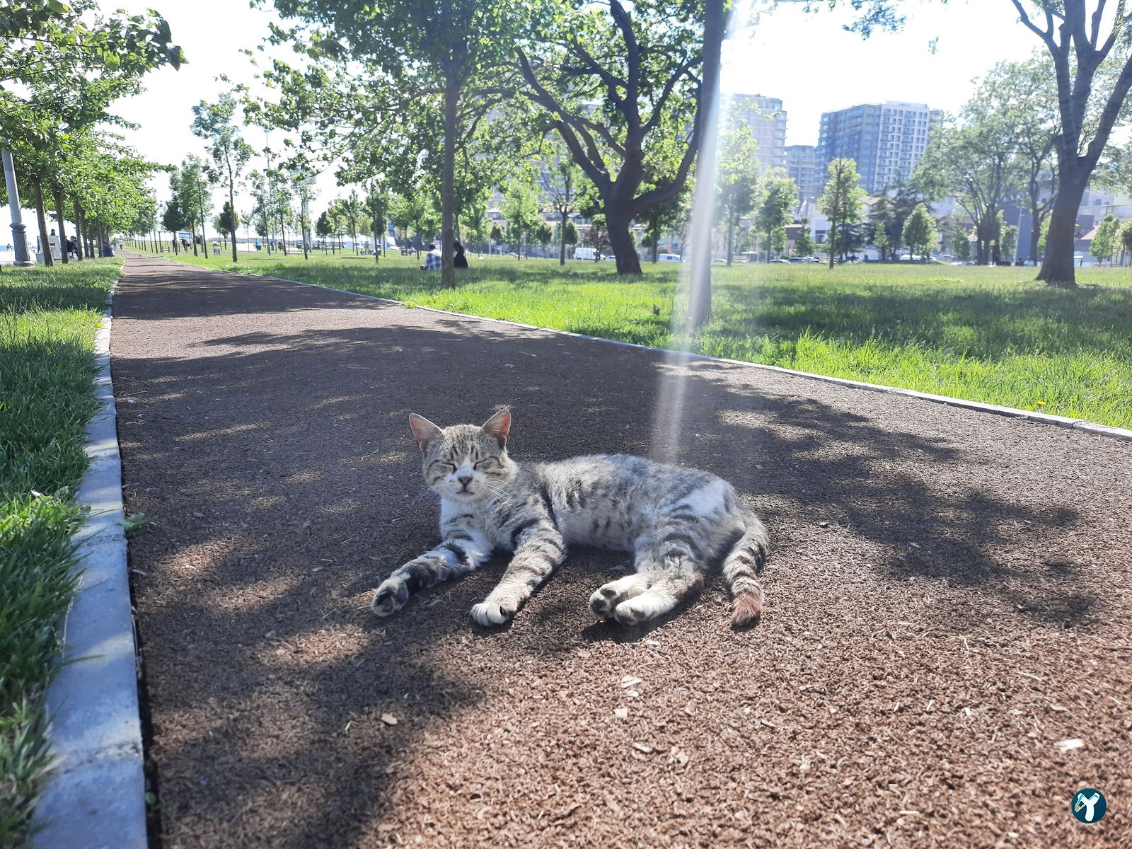 Zeytinburnu Sahil Parkı