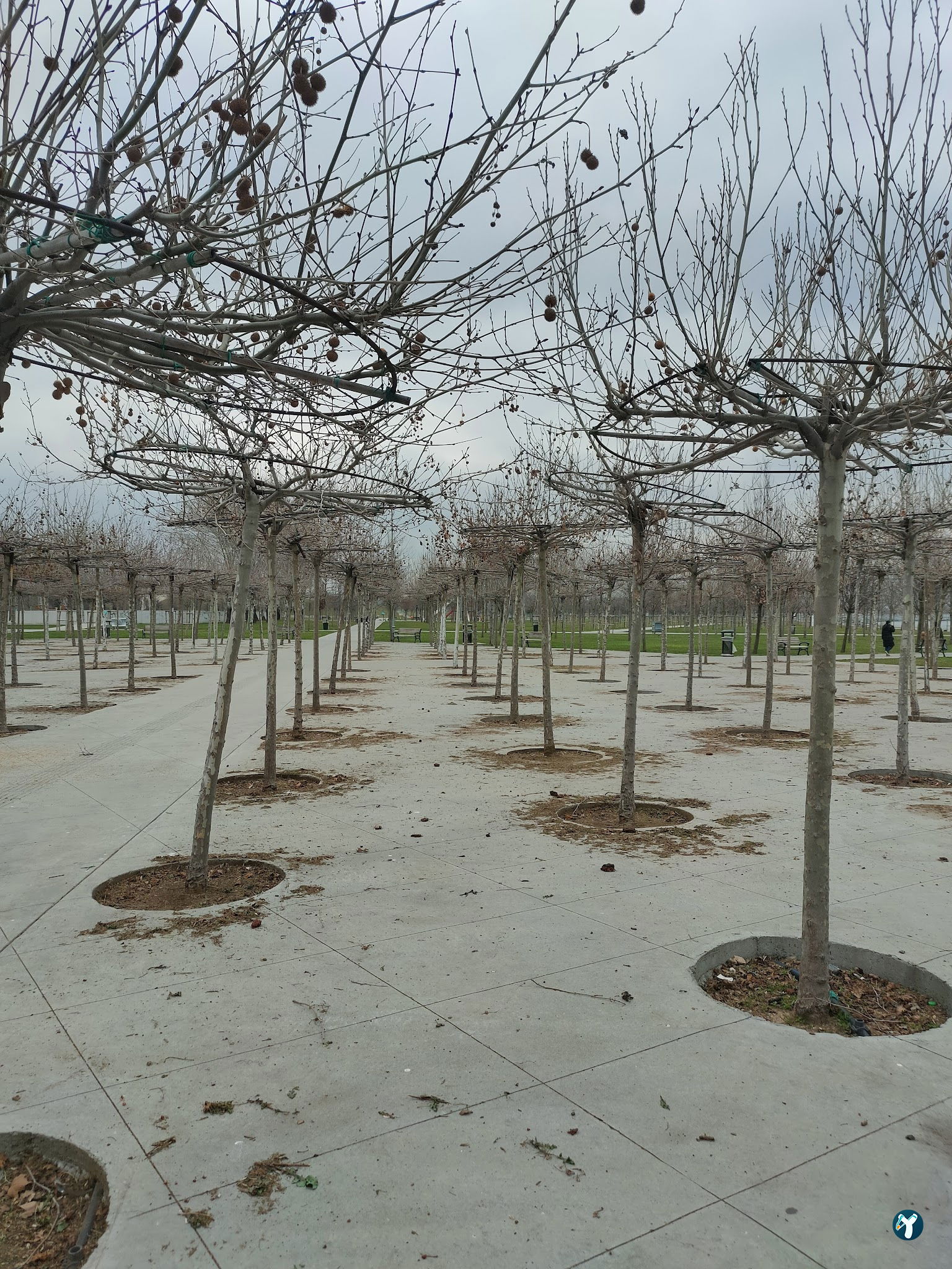 Zeytinburnu Sahil Parkı