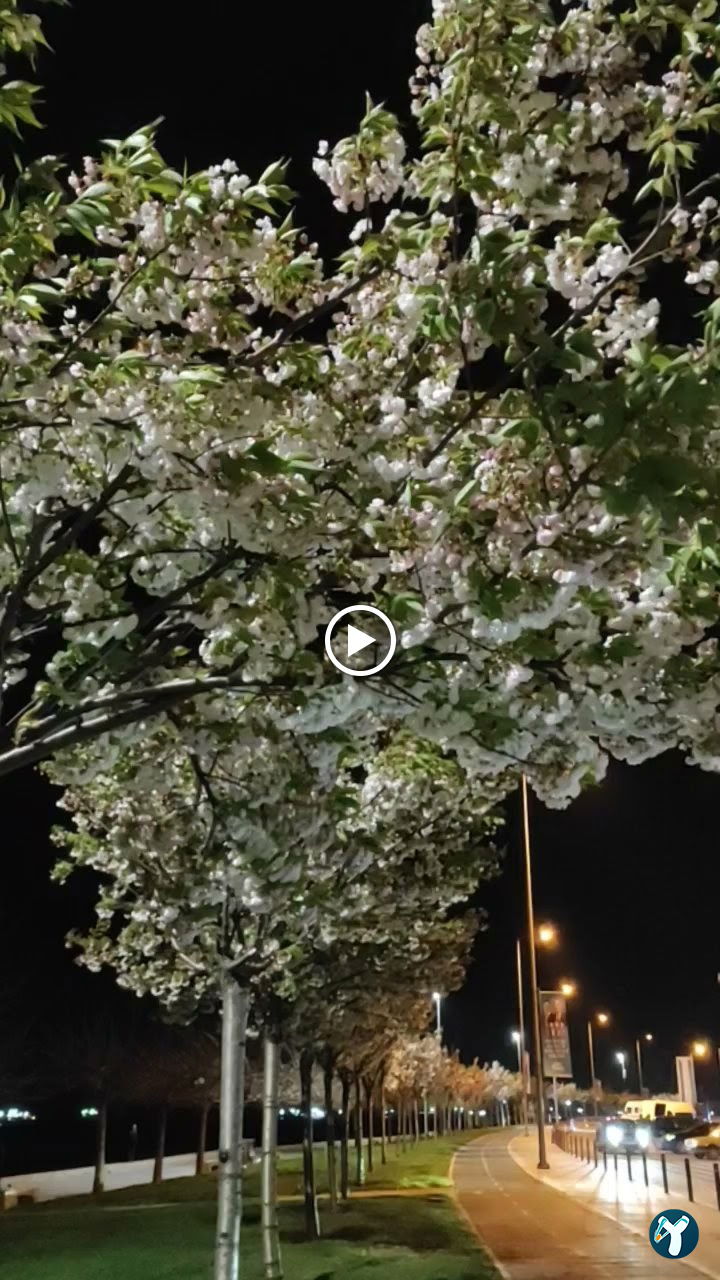 Zeytinburnu Sahil Parkı