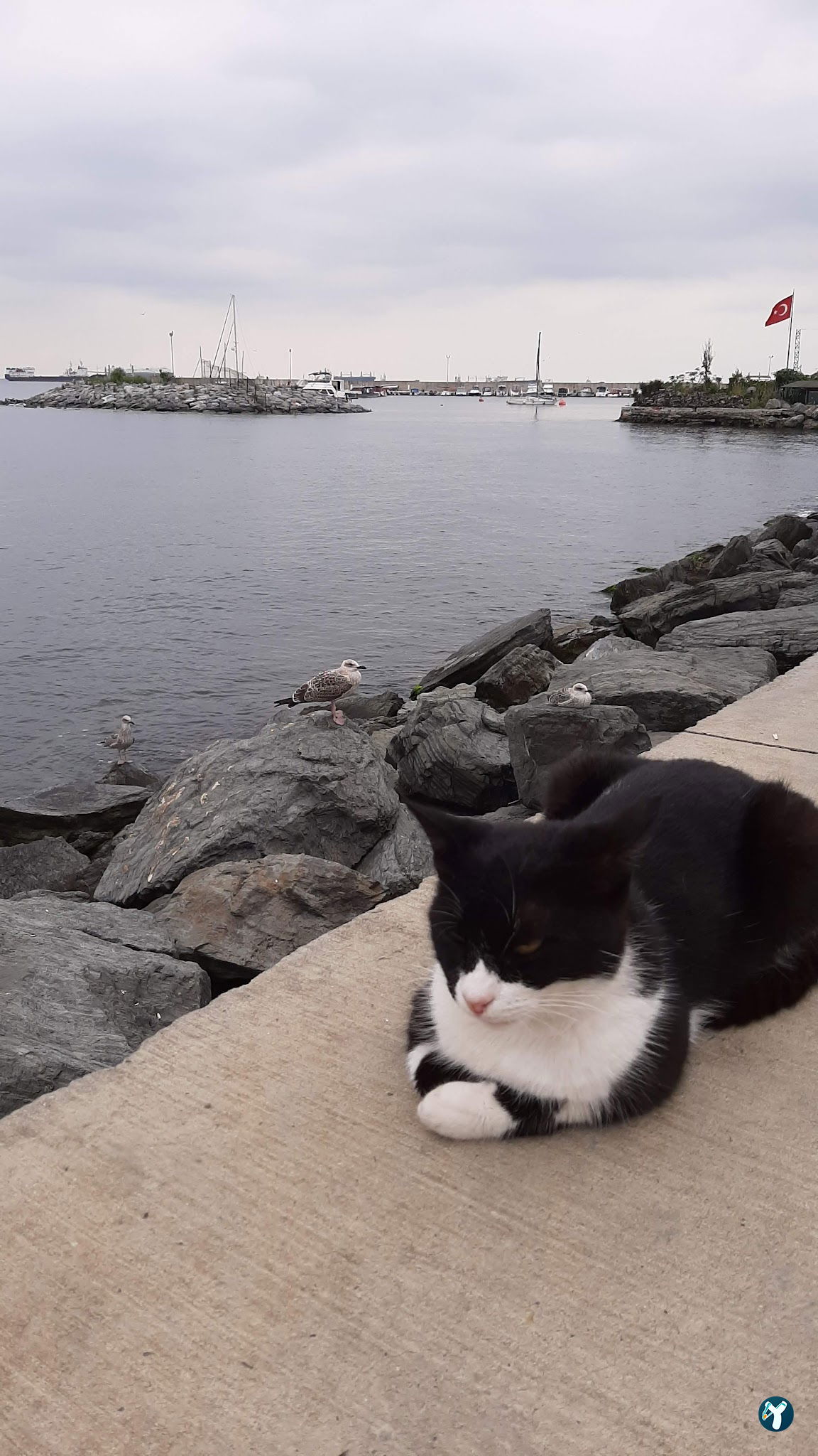 Zeytinburnu Sahil Parkı