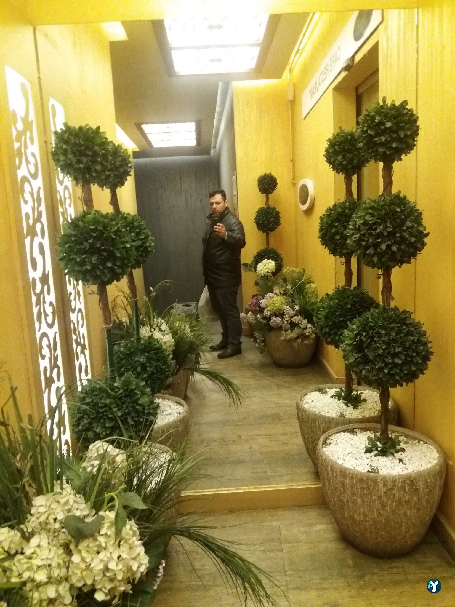 Terrace Li̇fe Cafe & Rest
