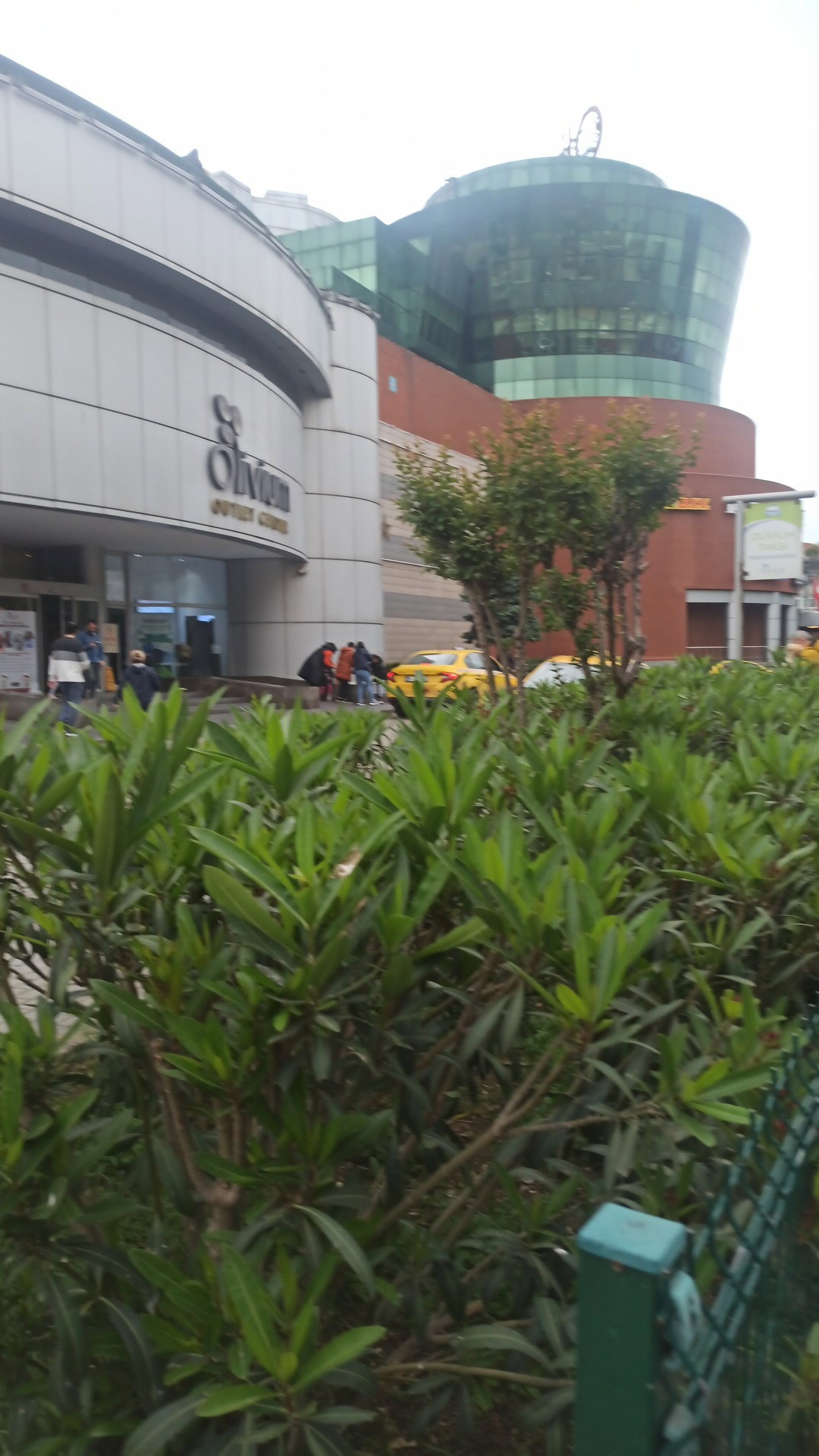 Zeytinburnu Olivum Borek Pogaca