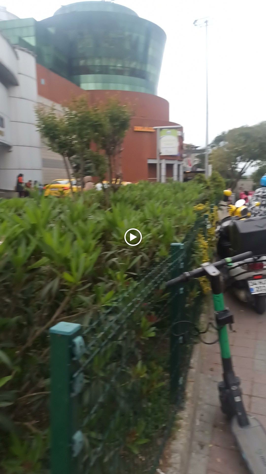 Zeytinburnu Olivum Borek Pogaca