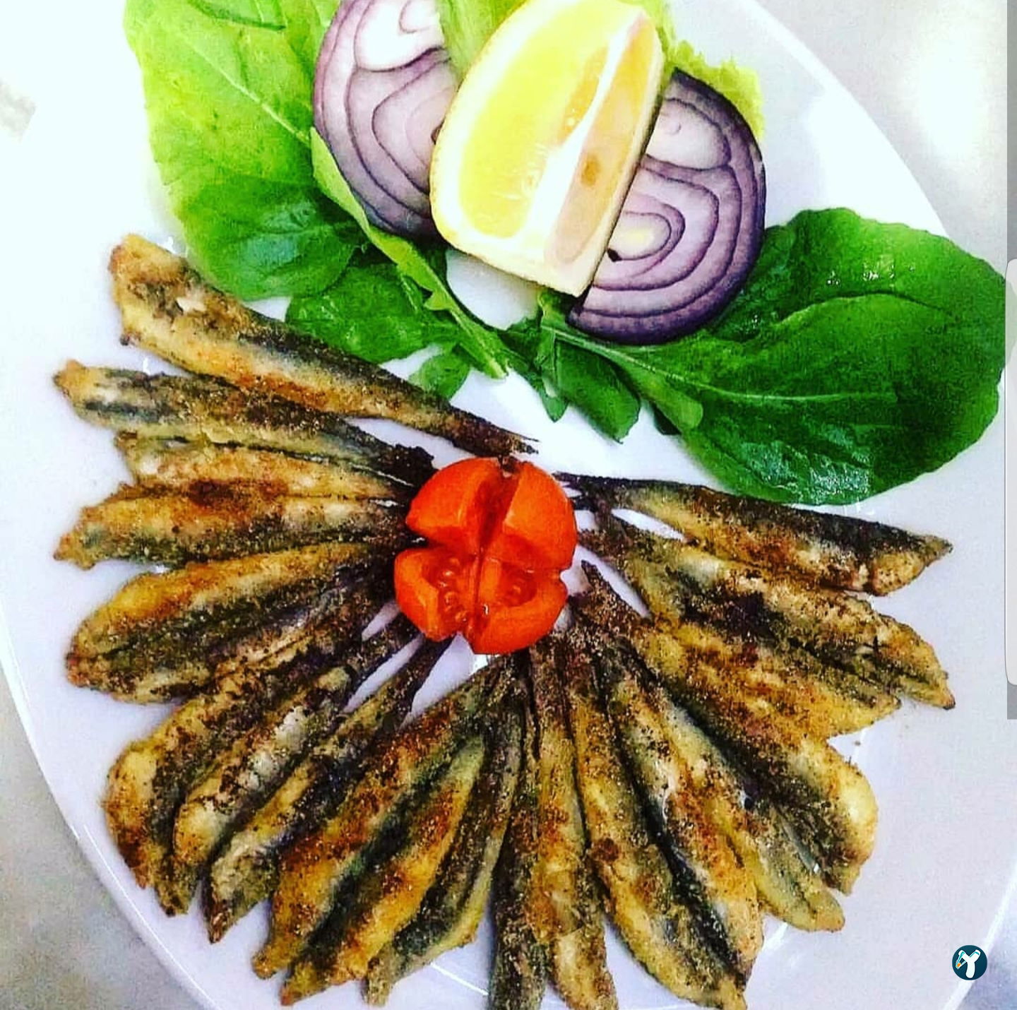 Denizkızı Meyhanesi