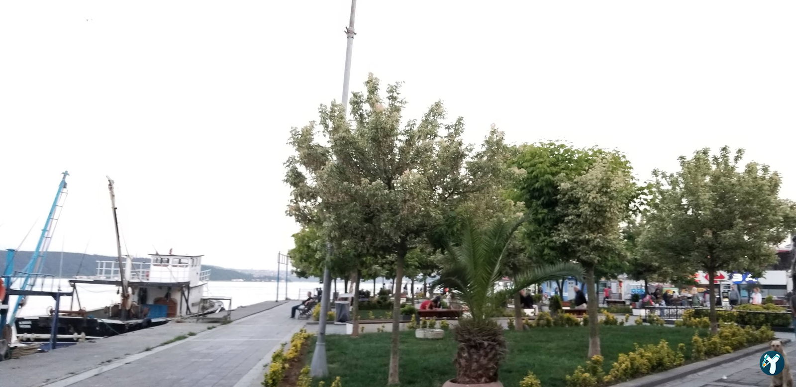 Denizkızı Meyhanesi