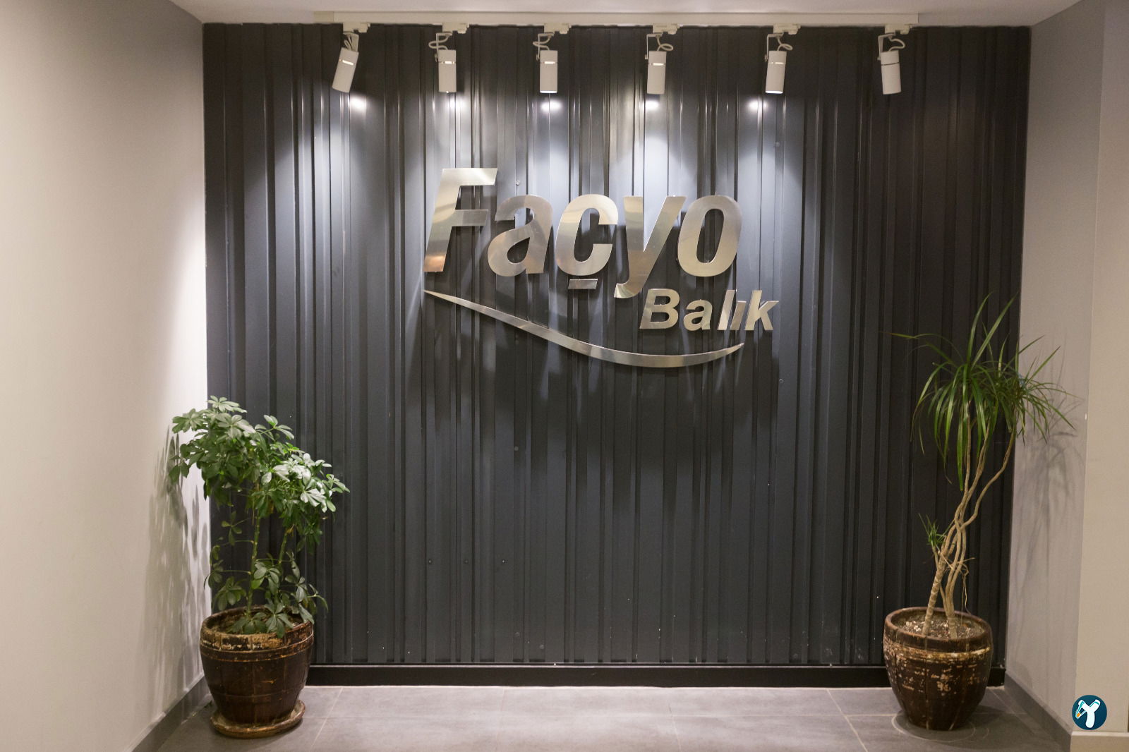 Façyo Balık