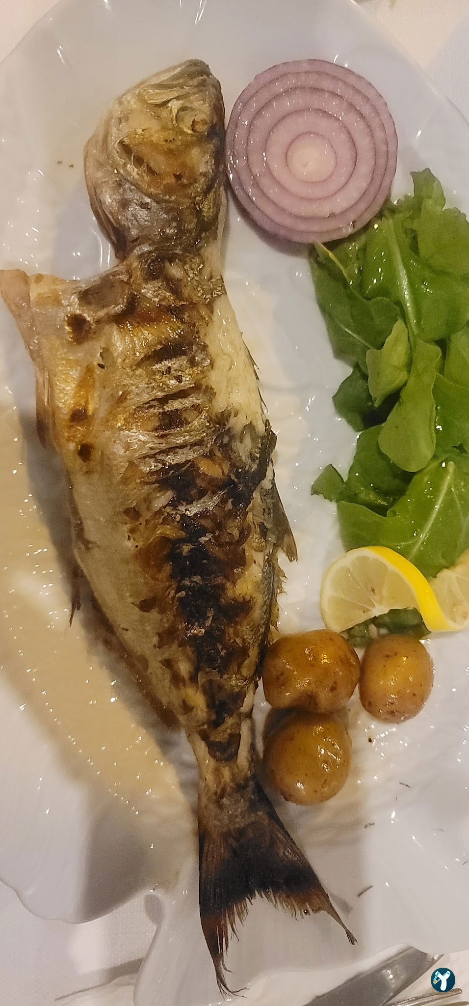 Façyo Balık