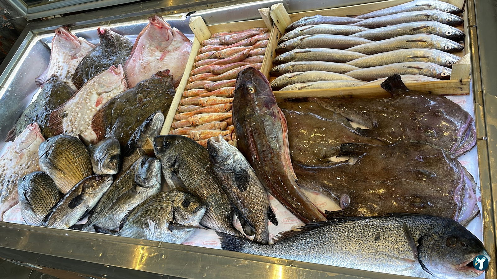 Façyo Balık