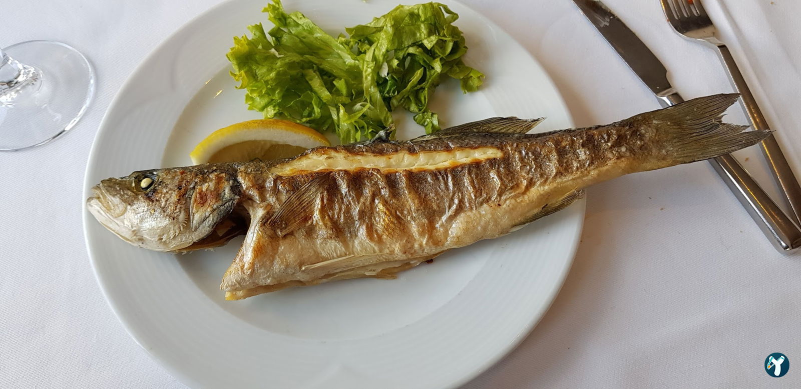 Façyo Balık