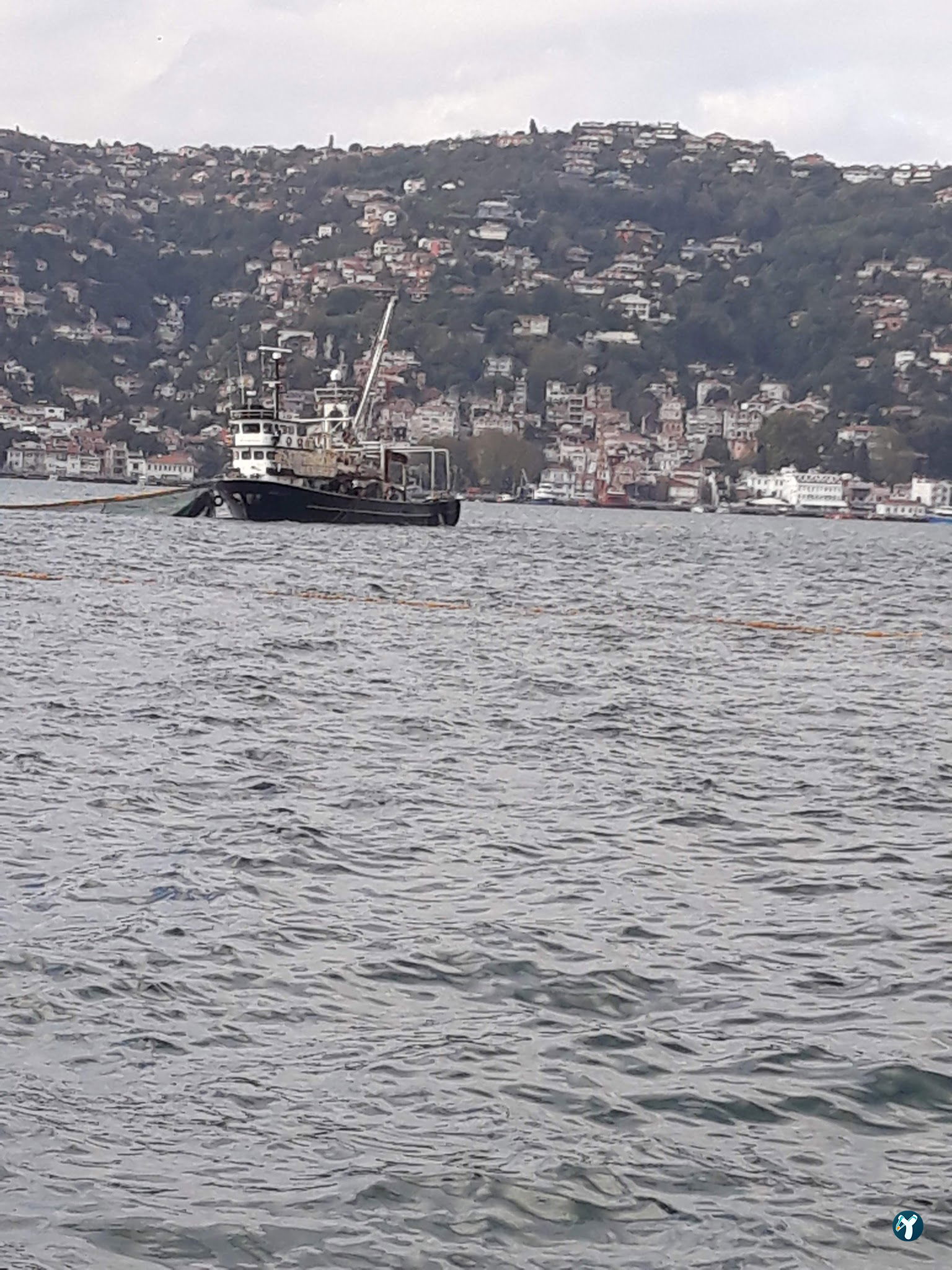 Façyo Balık