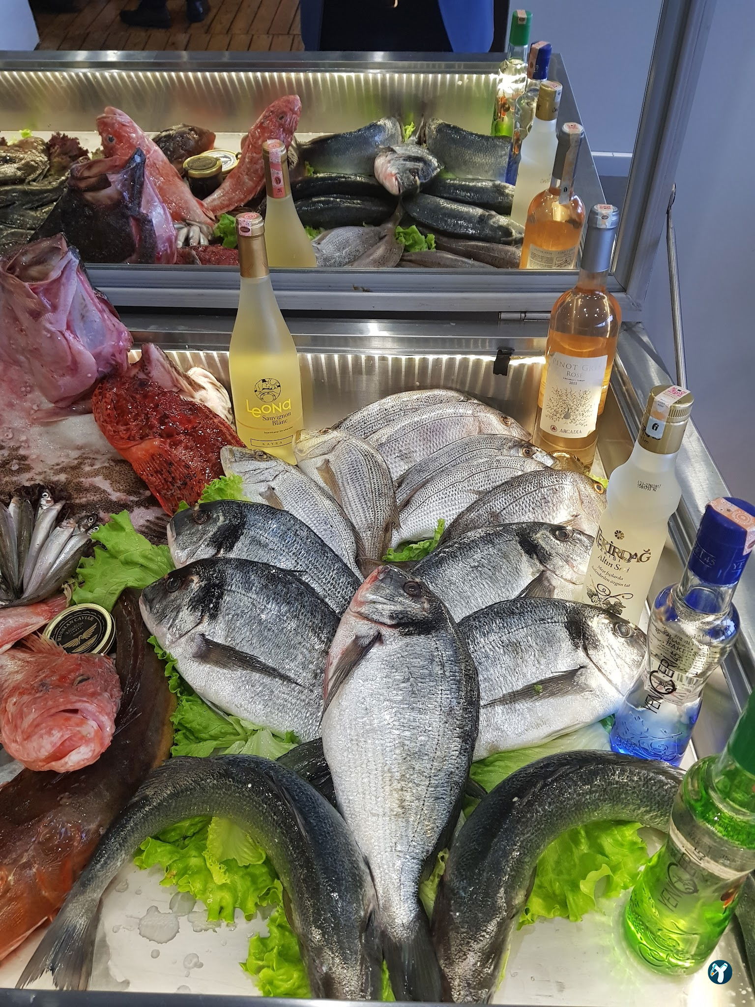 Façyo Balık