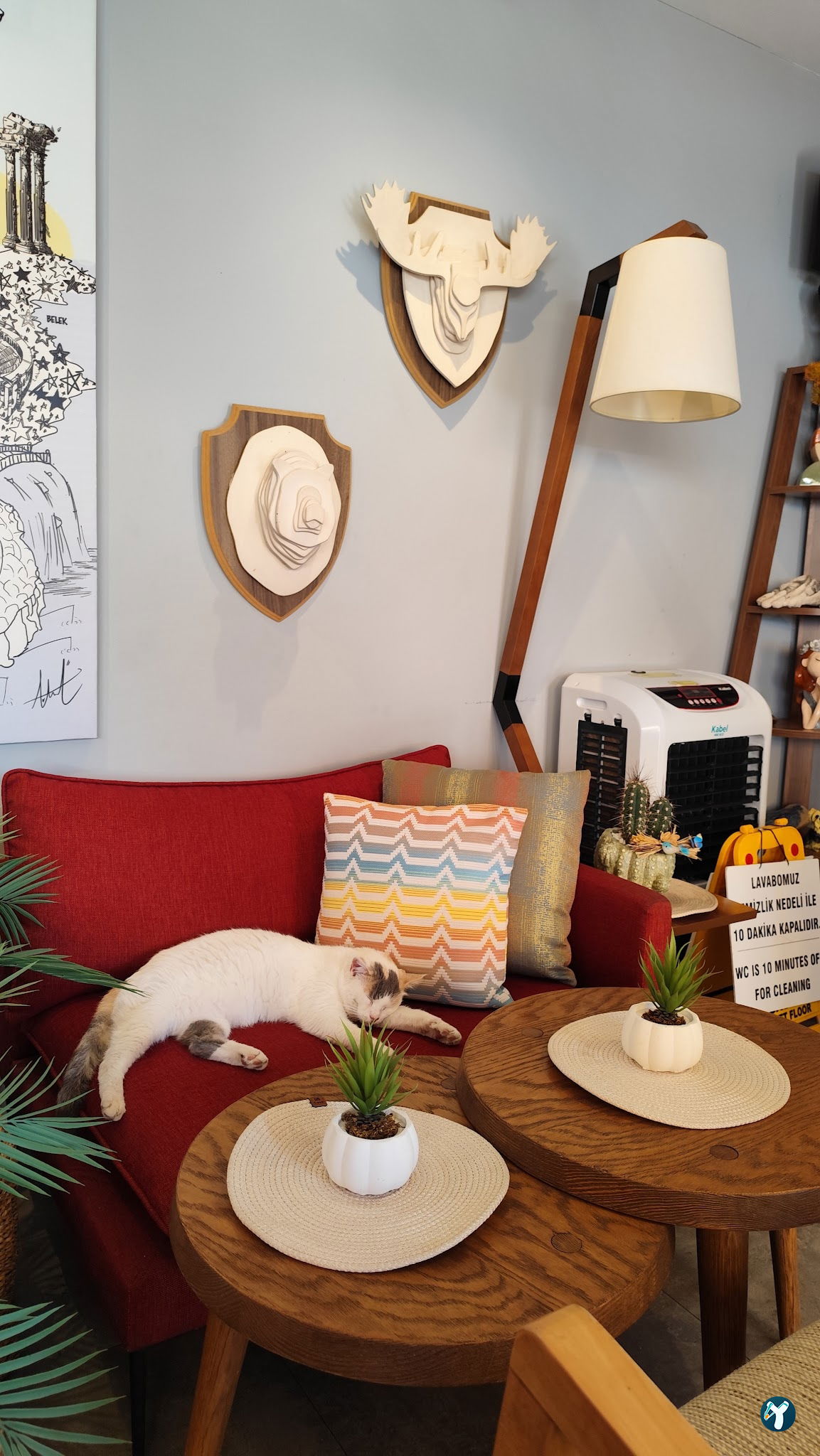 Cozy Coffee House