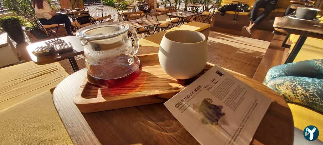 Cozy Coffee House