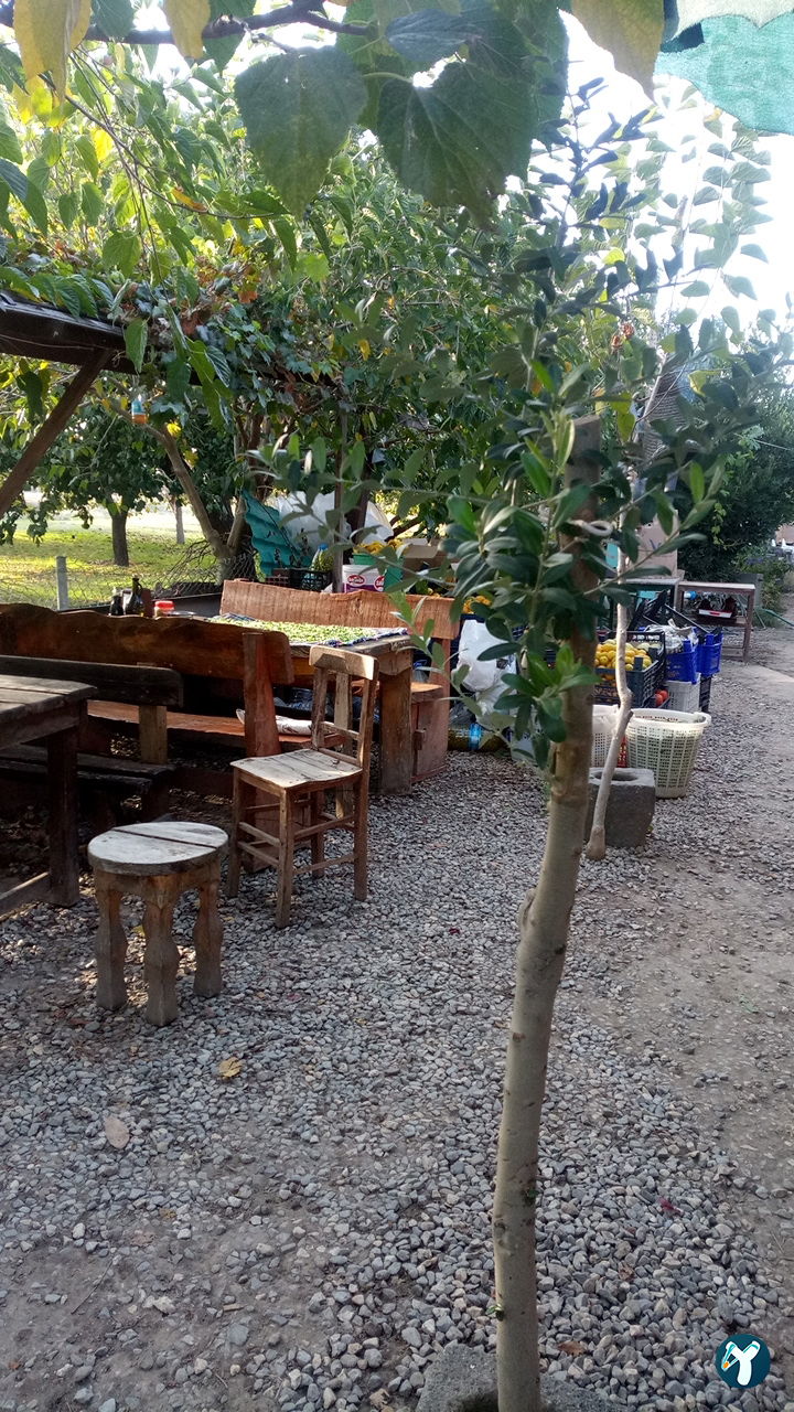 Sen Mantı Evi