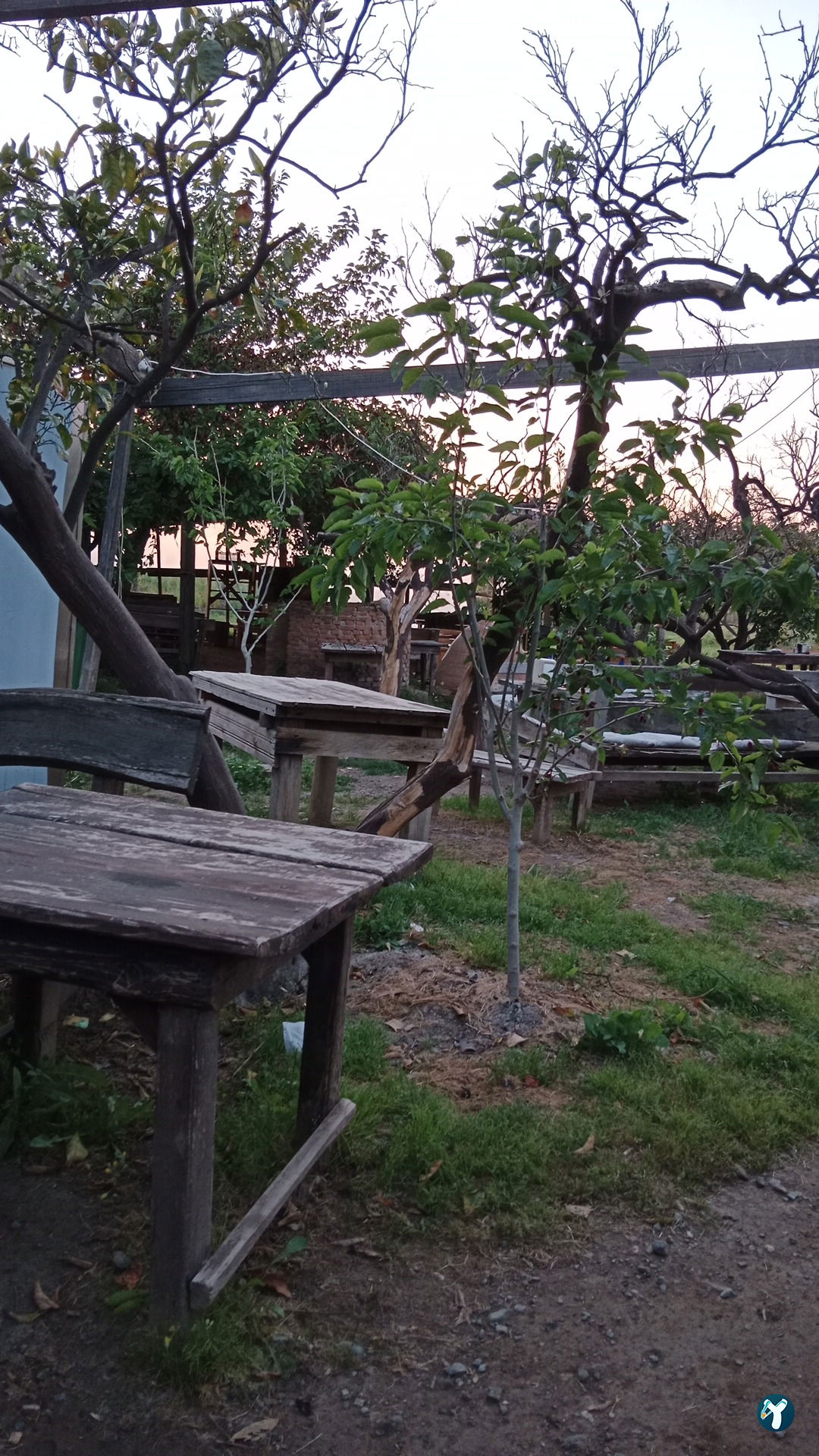 Sen Mantı Evi