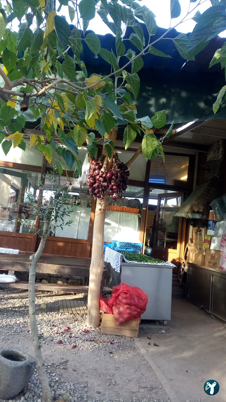 Sen Mantı Evi