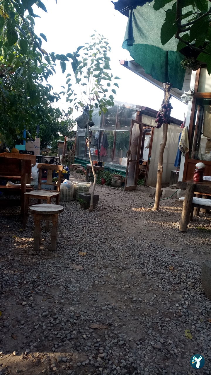 Sen Mantı Evi