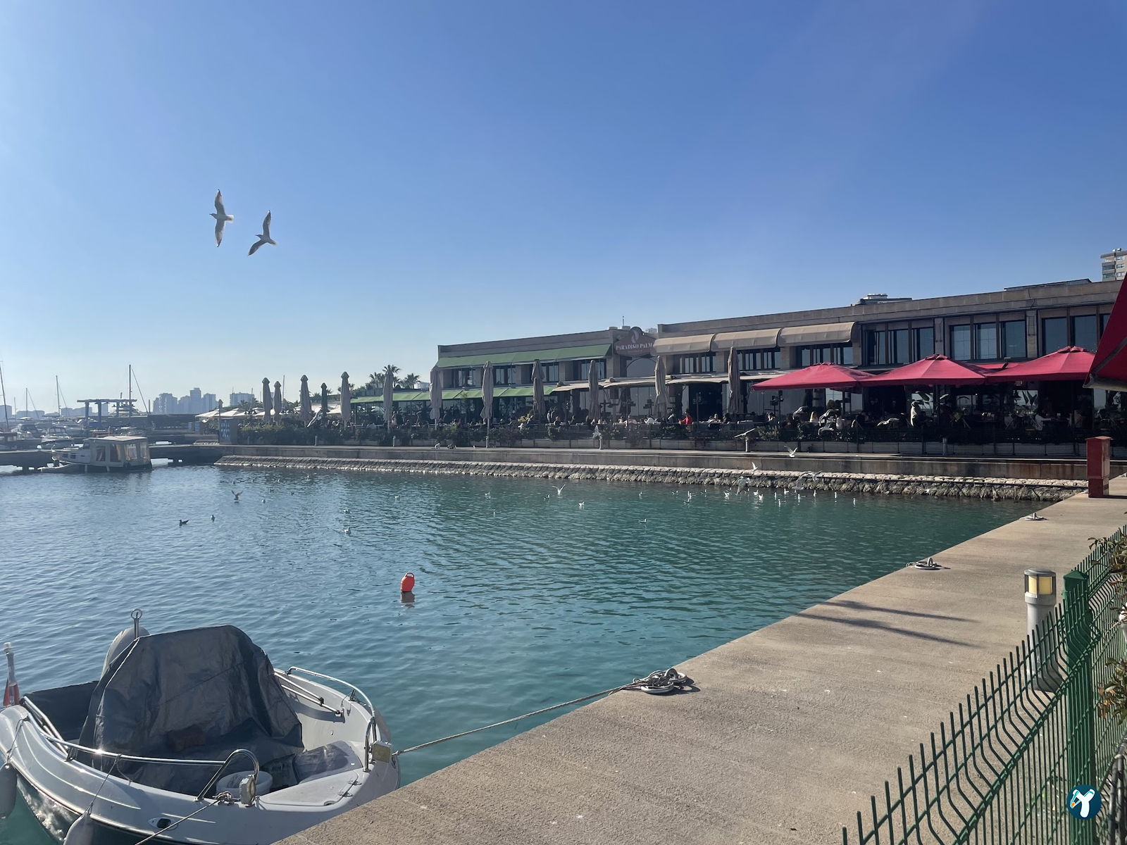 Paradiso Palms Gastrobar