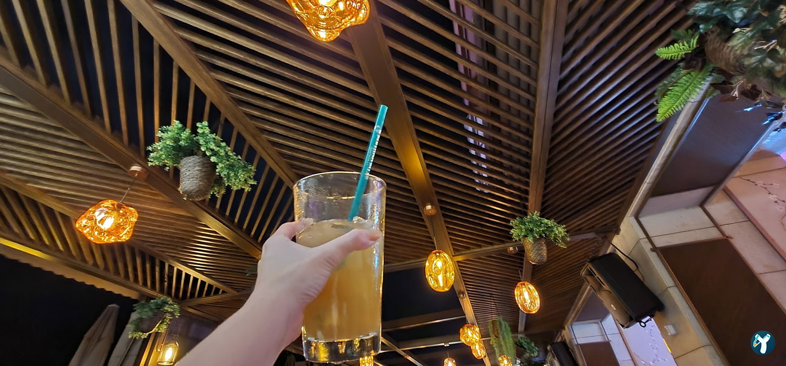 Paradiso Palms Gastrobar