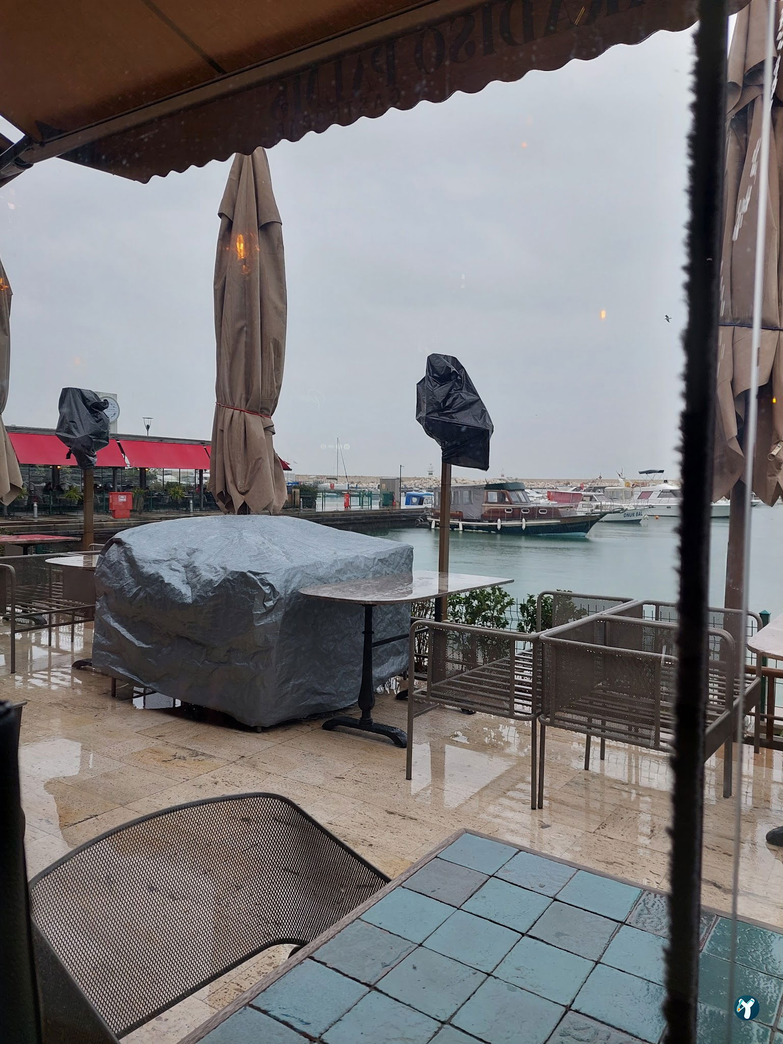Paradiso Palms Gastrobar