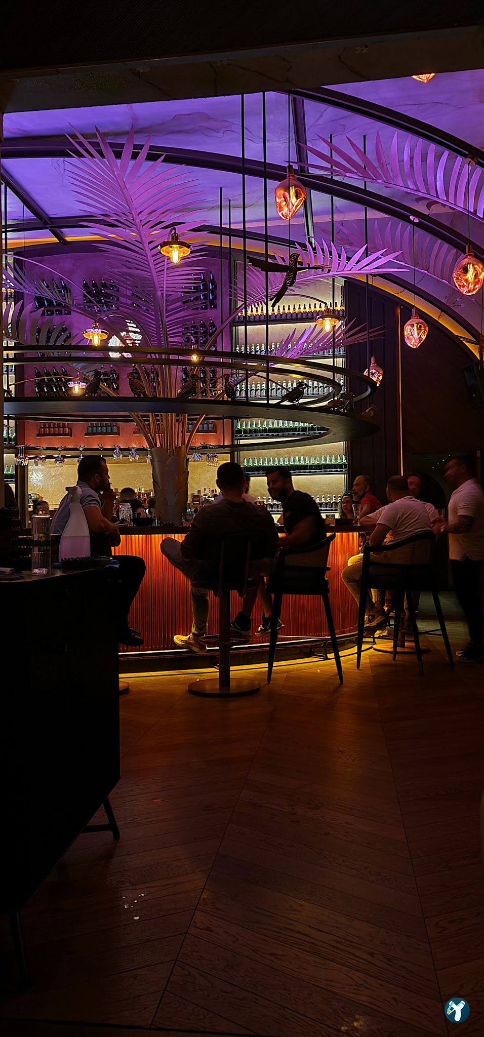 Paradiso Palms Gastrobar