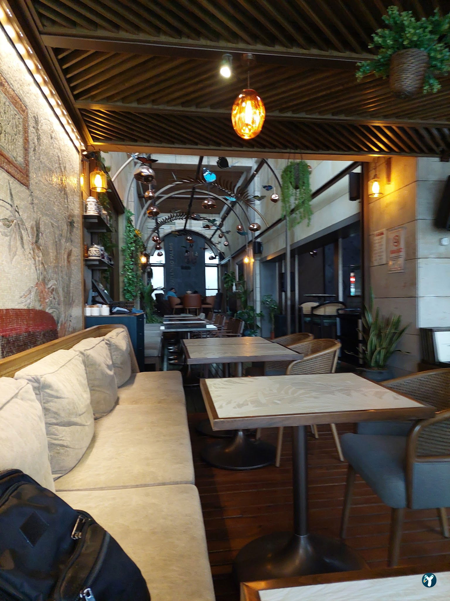 Paradiso Palms Gastrobar