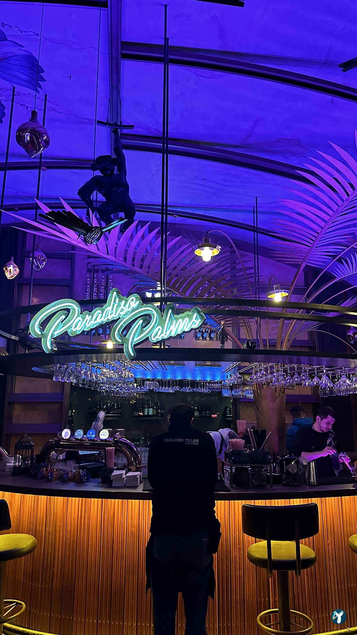 Paradiso Palms Gastrobar