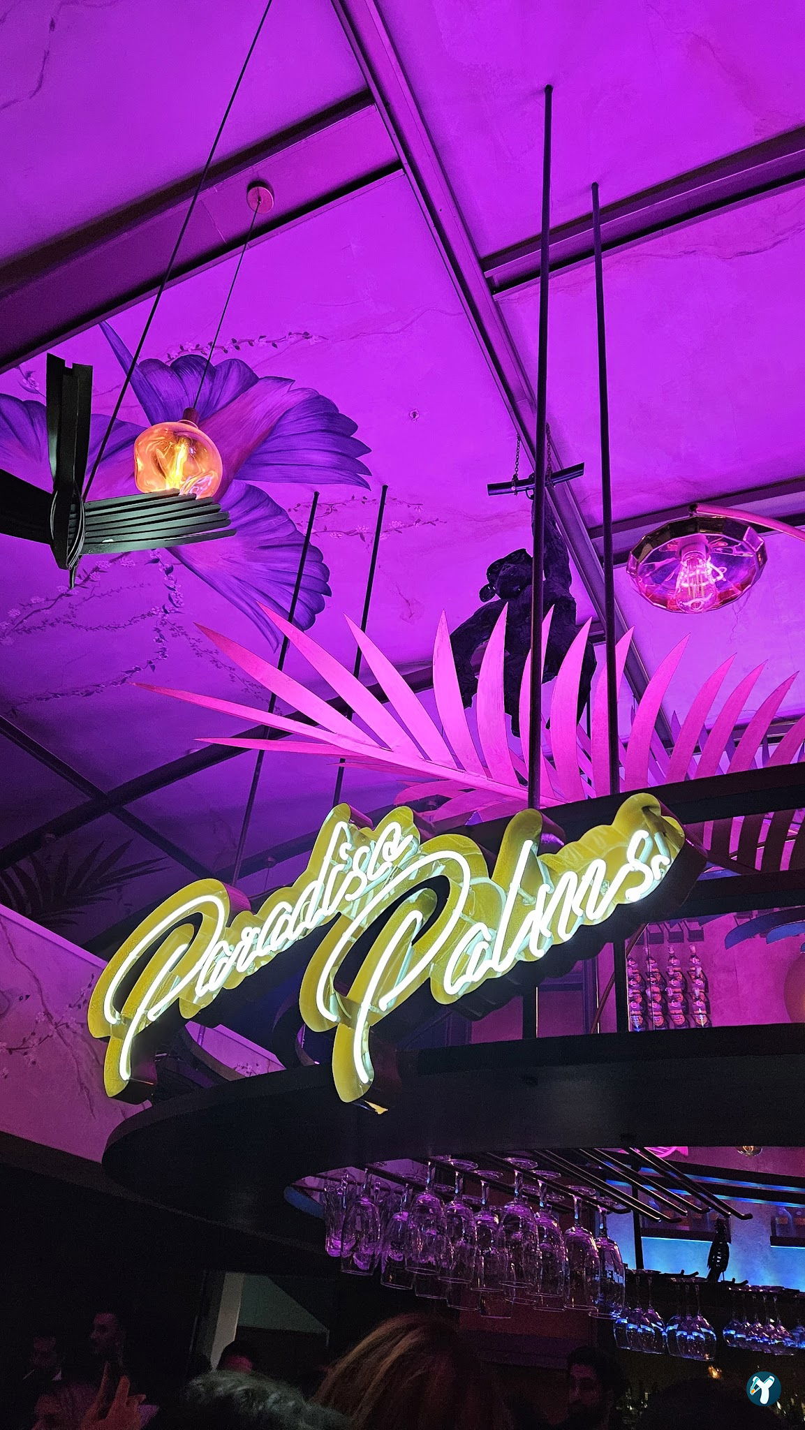 Paradiso Palms Gastrobar