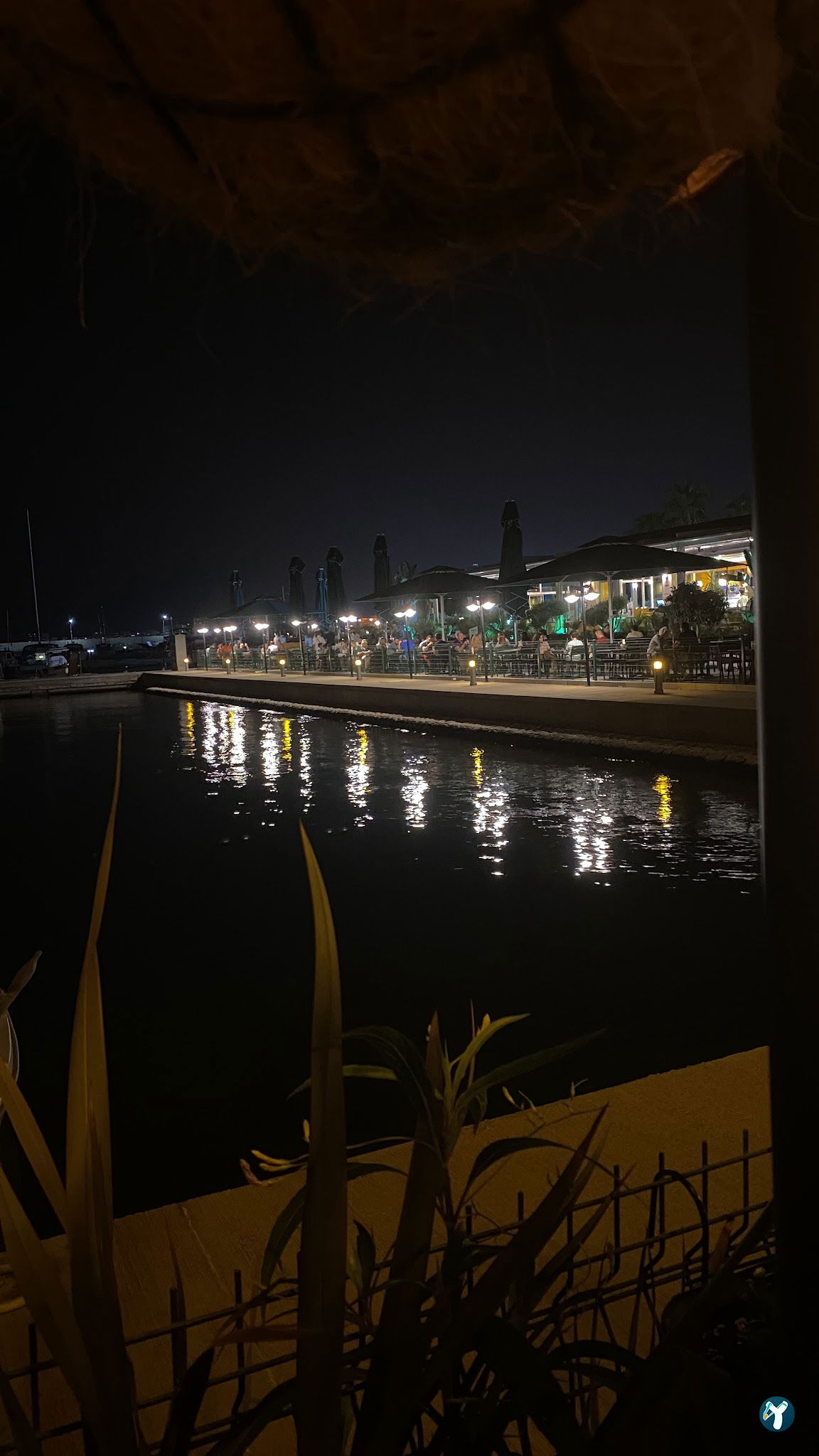 Paradiso Palms Gastrobar